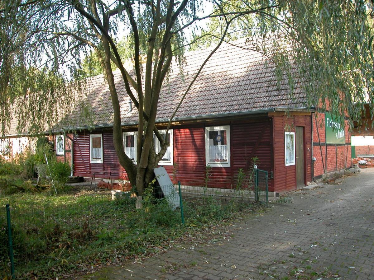 Ferienwohnung Zeitenhof Suderburg エクステリア 写真